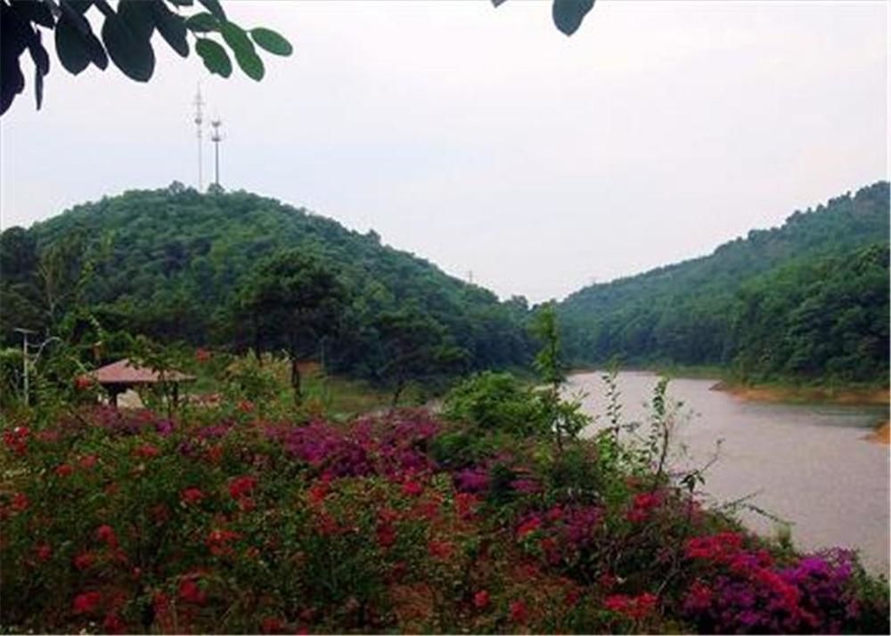 Phoenix Hotel Wuyi Jiangmen Buitenkant foto
